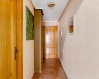 Reventa - Apartamento - Torrevieja - Estacion de autobuses