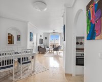 Reventa - Apartamento - Torrevieja - Estacion de autobuses