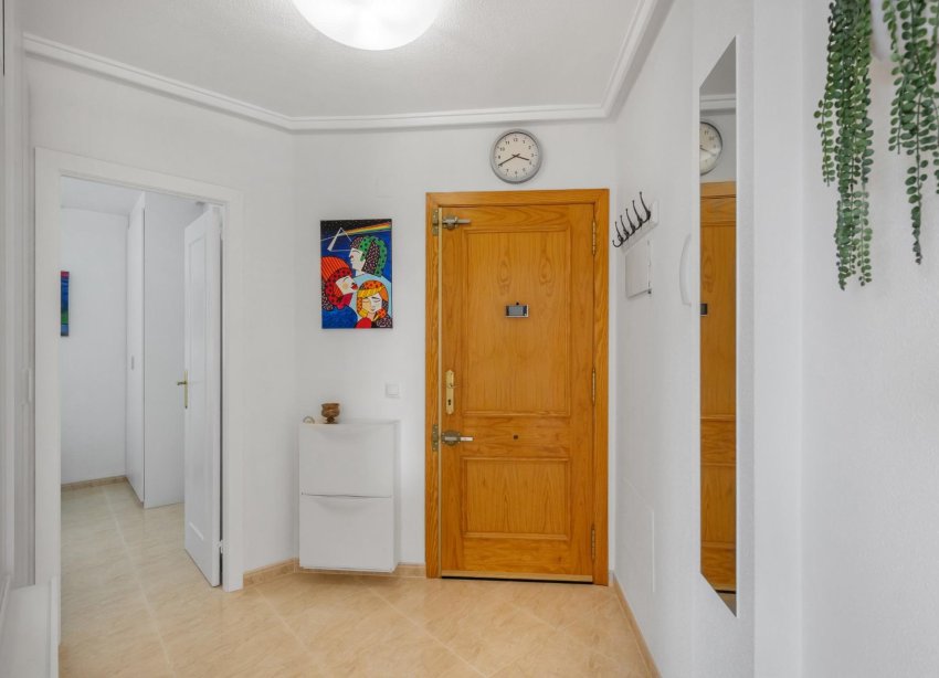 Reventa - Apartamento - Torrevieja - Estacion de autobuses