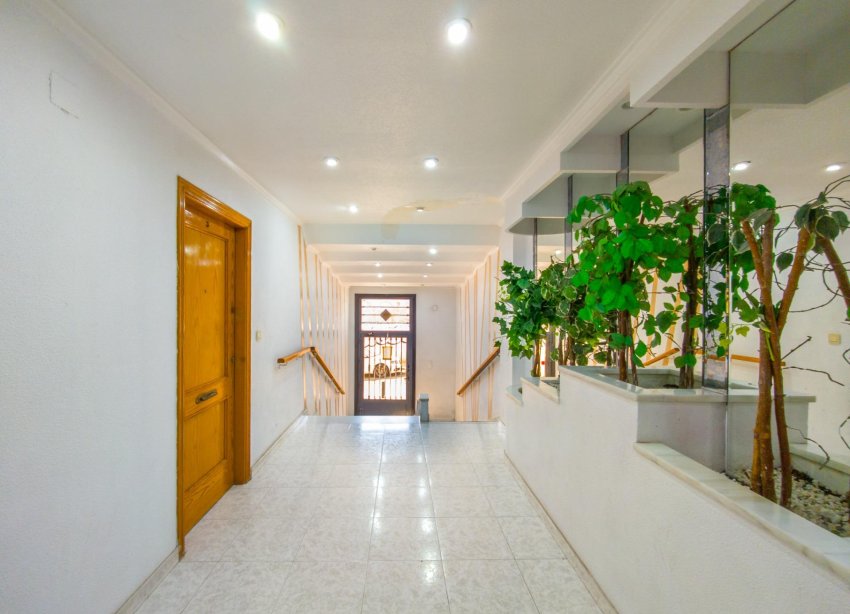 Reventa - Apartamento - Torrevieja - Estacion de autobuses