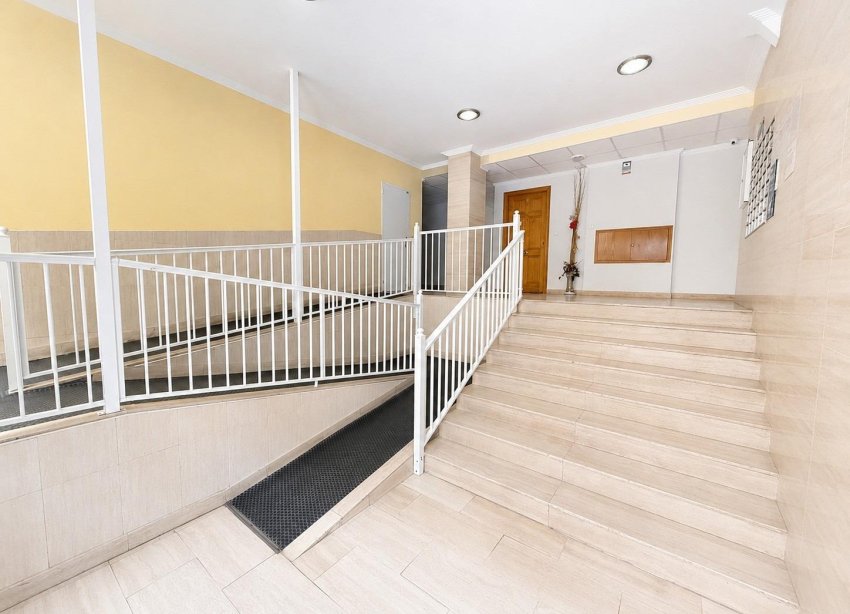 Reventa - Apartamento - Torrevieja - Estacion de autobuses