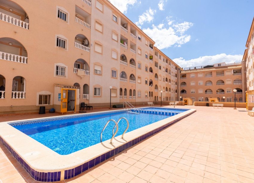 Reventa - Apartamento - Torrevieja - Estacion de autobuses