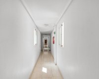 Reventa - Apartamento - Torrevieja - Estacion de autobuses