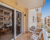 Reventa - Apartamento - Torrevieja - Estacion de autobuses