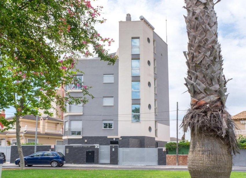 Reventa - Apartamento - Torrevieja - Estacion de autobuses