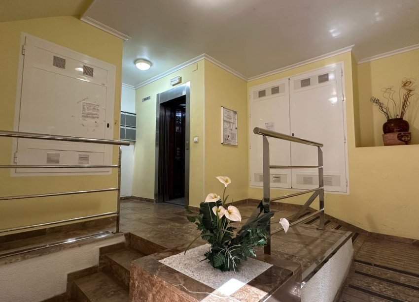 Reventa - Apartamento - Torrevieja - Estacion de autobuses
