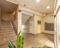 Reventa - Apartamento - Torrevieja - Habaneras