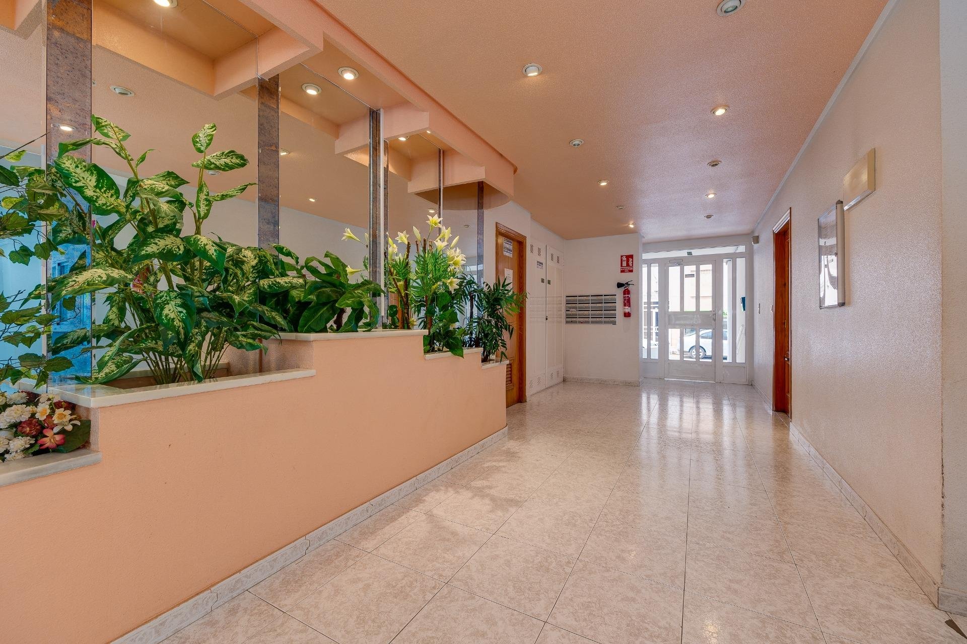Reventa - Apartamento - Torrevieja - Habaneras