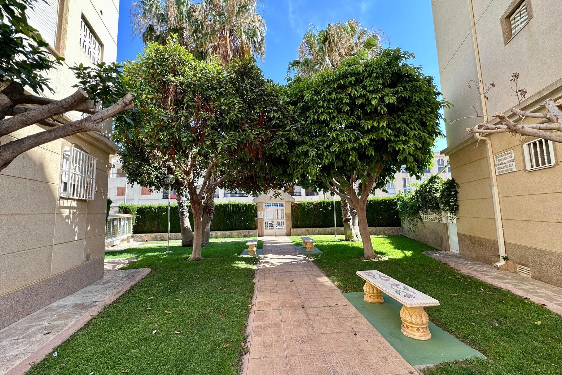 Reventa - Apartamento - Torrevieja - Habaneras