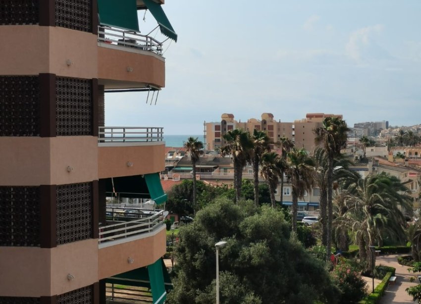 Reventa - Apartamento - Torrevieja - La Mata