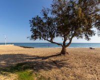 Reventa - Apartamento - Torrevieja - La Mata