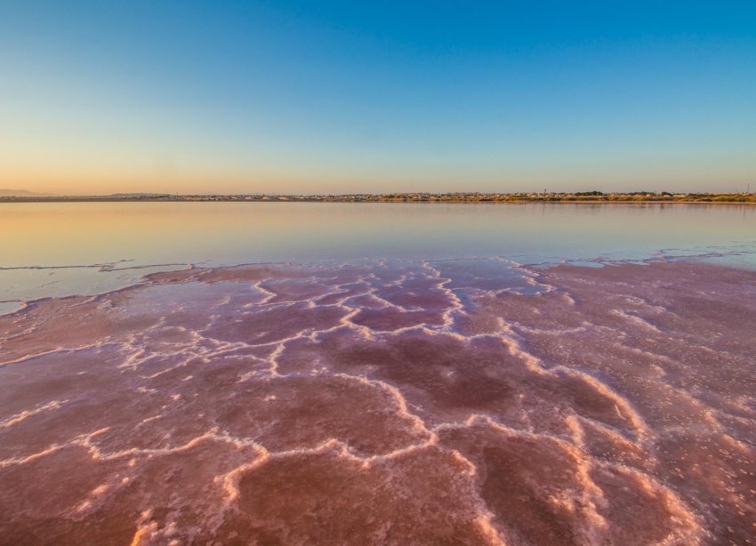 Reventa - Apartamento - Torrevieja - La Mata