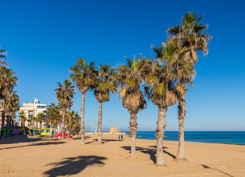 Reventa - Apartamento - Torrevieja - La Mata