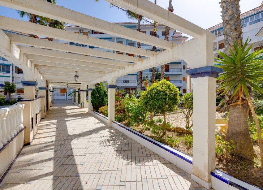 Reventa - Apartamento - Torrevieja - La Mata