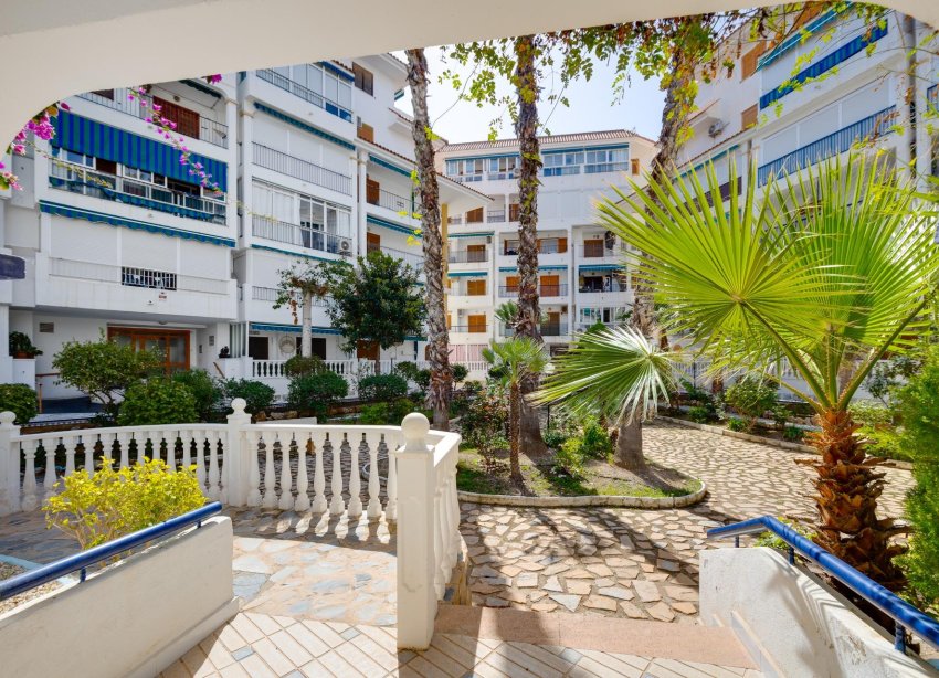 Reventa - Apartamento - Torrevieja - La Mata
