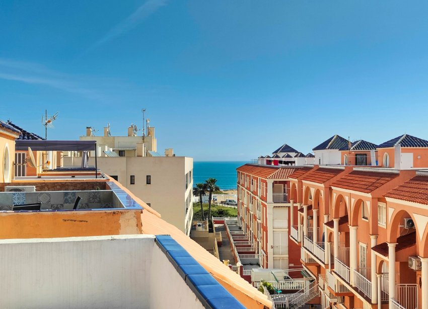 Reventa - Apartamento - Torrevieja - La Mata