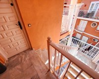 Reventa - Apartamento - Torrevieja - La Mata