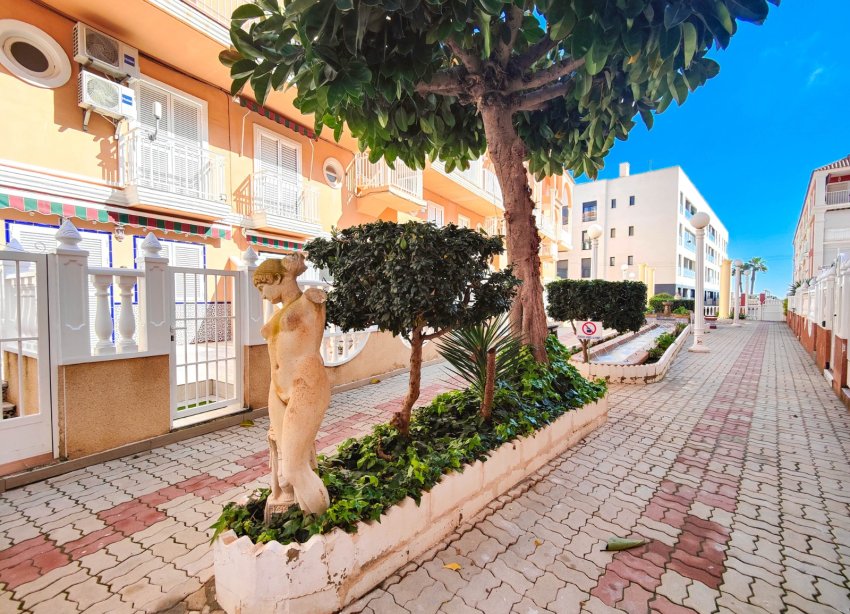 Reventa - Apartamento - Torrevieja - La Mata