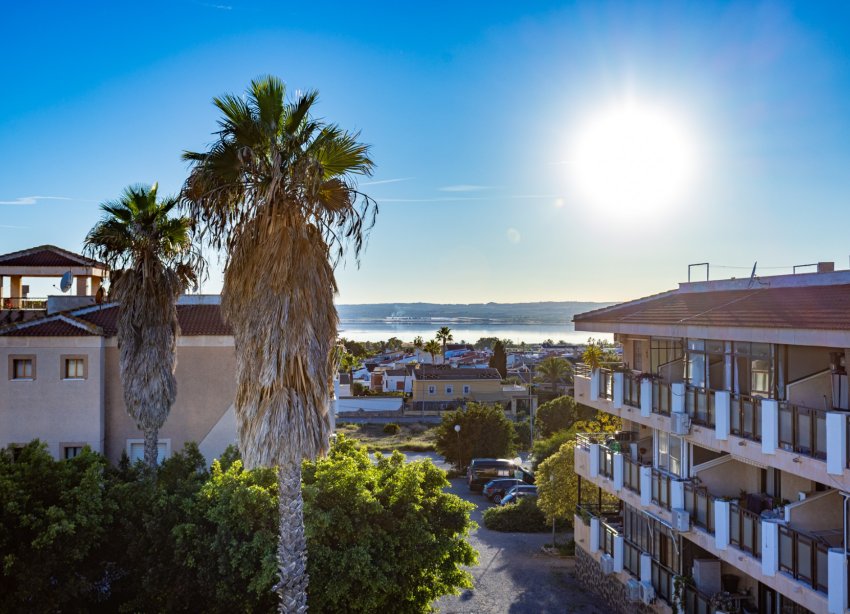 Reventa - Apartamento - Torrevieja - La Siesta