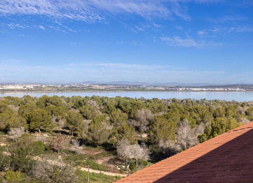 Reventa - Apartamento - Torrevieja - La Siesta