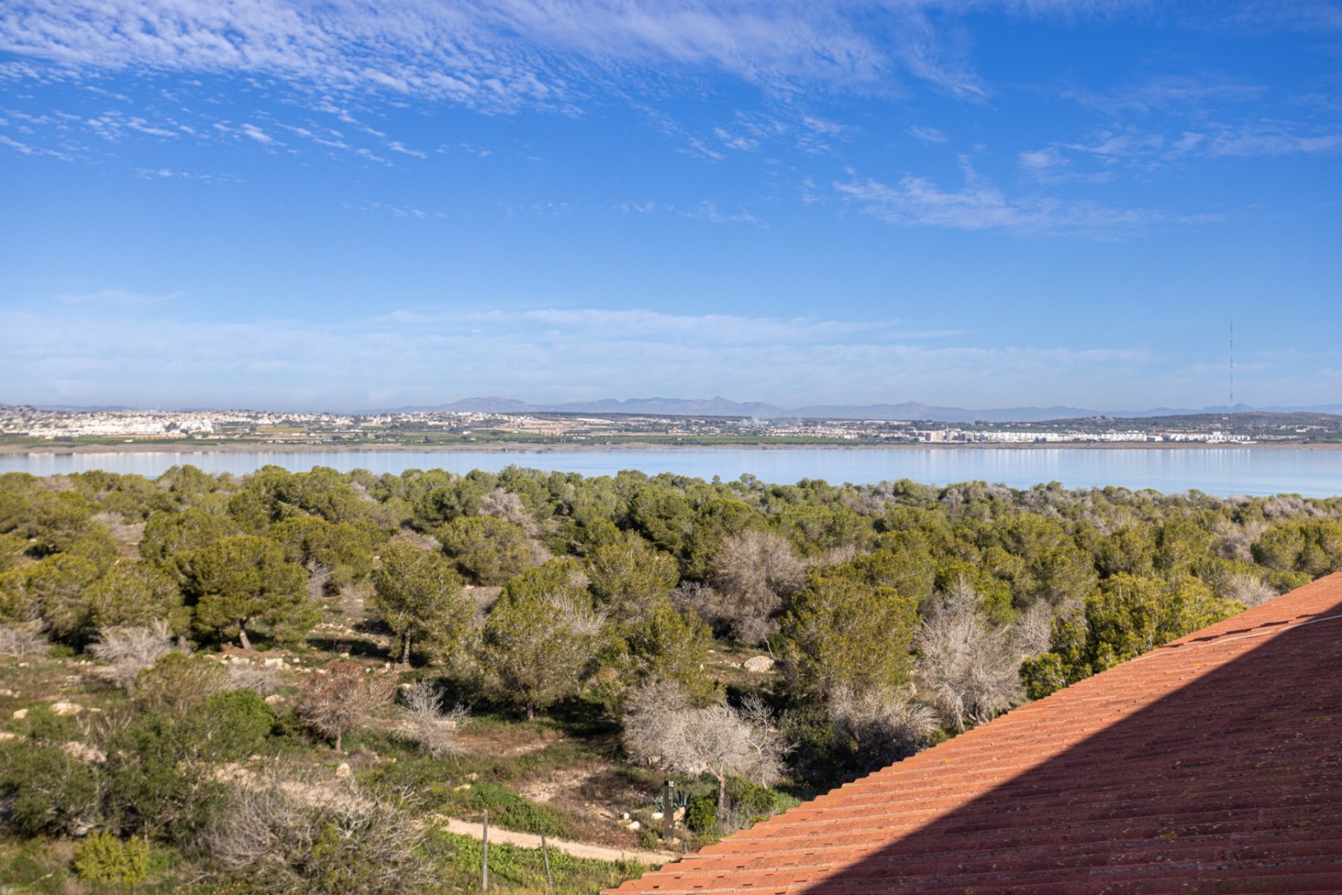 Reventa - Apartamento - Torrevieja - La Siesta