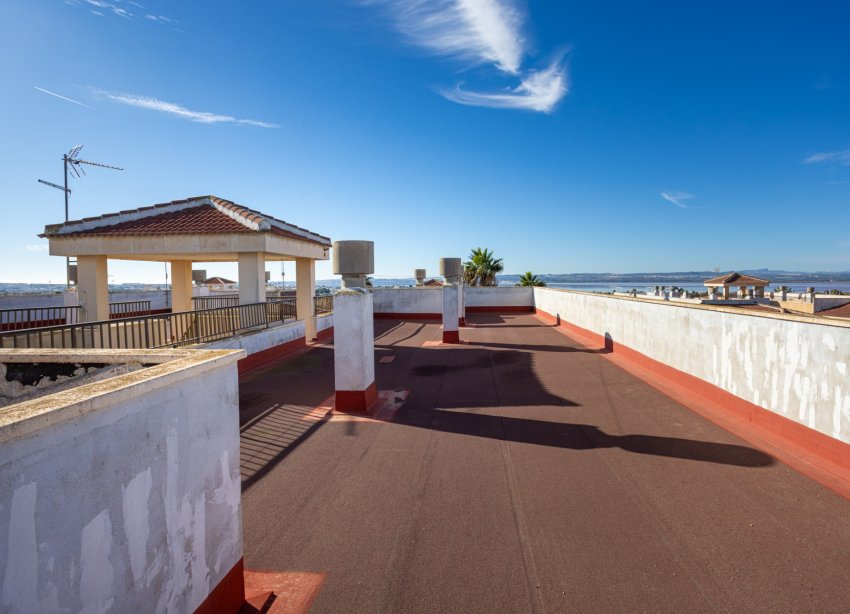 Reventa - Apartamento - Torrevieja - La Siesta