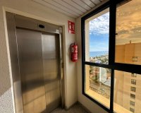 Reventa - Apartamento - Torrevieja - La veleta