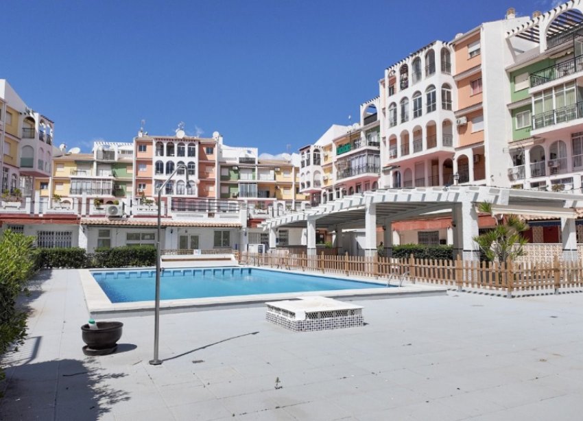 Reventa - Apartamento - Torrevieja - La Veleta