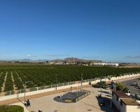 Reventa - Apartamento - Torrevieja - Lago Jardin