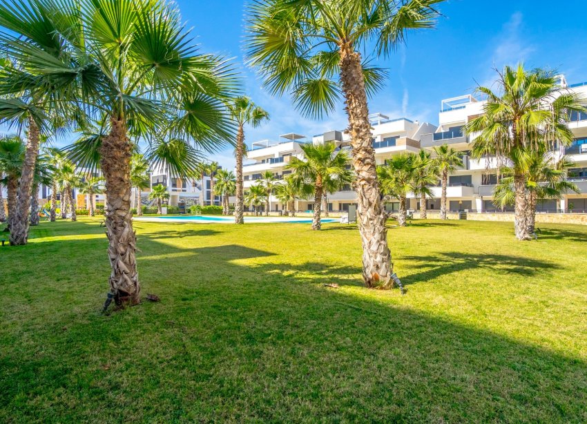 Reventa - Apartamento - Torrevieja - Los Altos