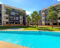 Reventa - Apartamento - Torrevieja - Los Altos