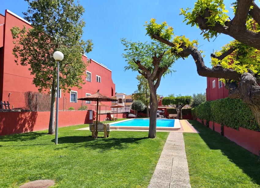 Reventa - Apartamento - Torrevieja - Los Altos