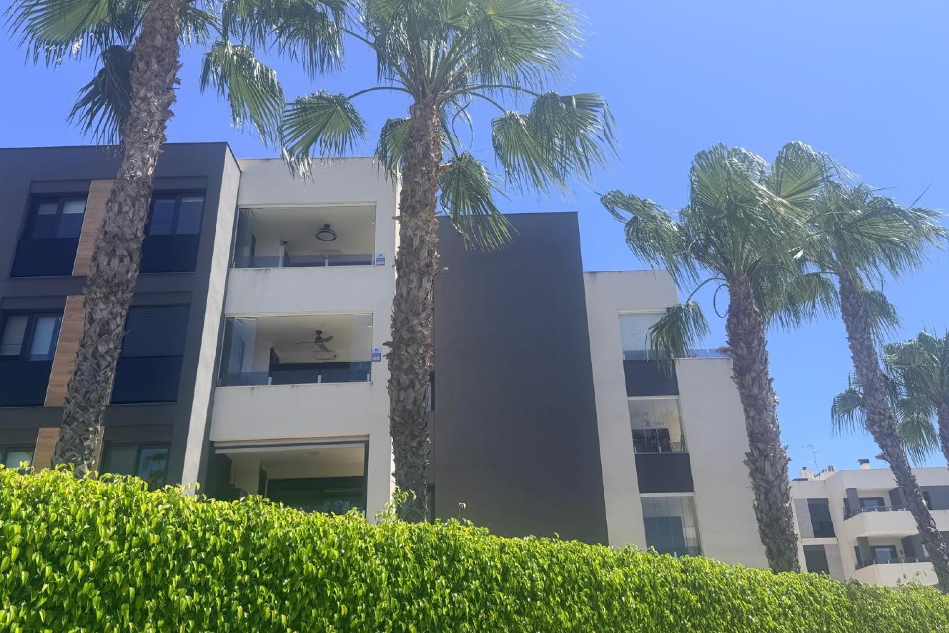 Reventa - Apartamento - Torrevieja - Los Altos