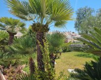 Reventa - Apartamento - Torrevieja - Los Balcones