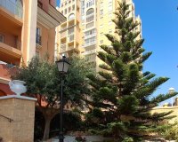 Reventa - Apartamento - Torrevieja - Los Frutales