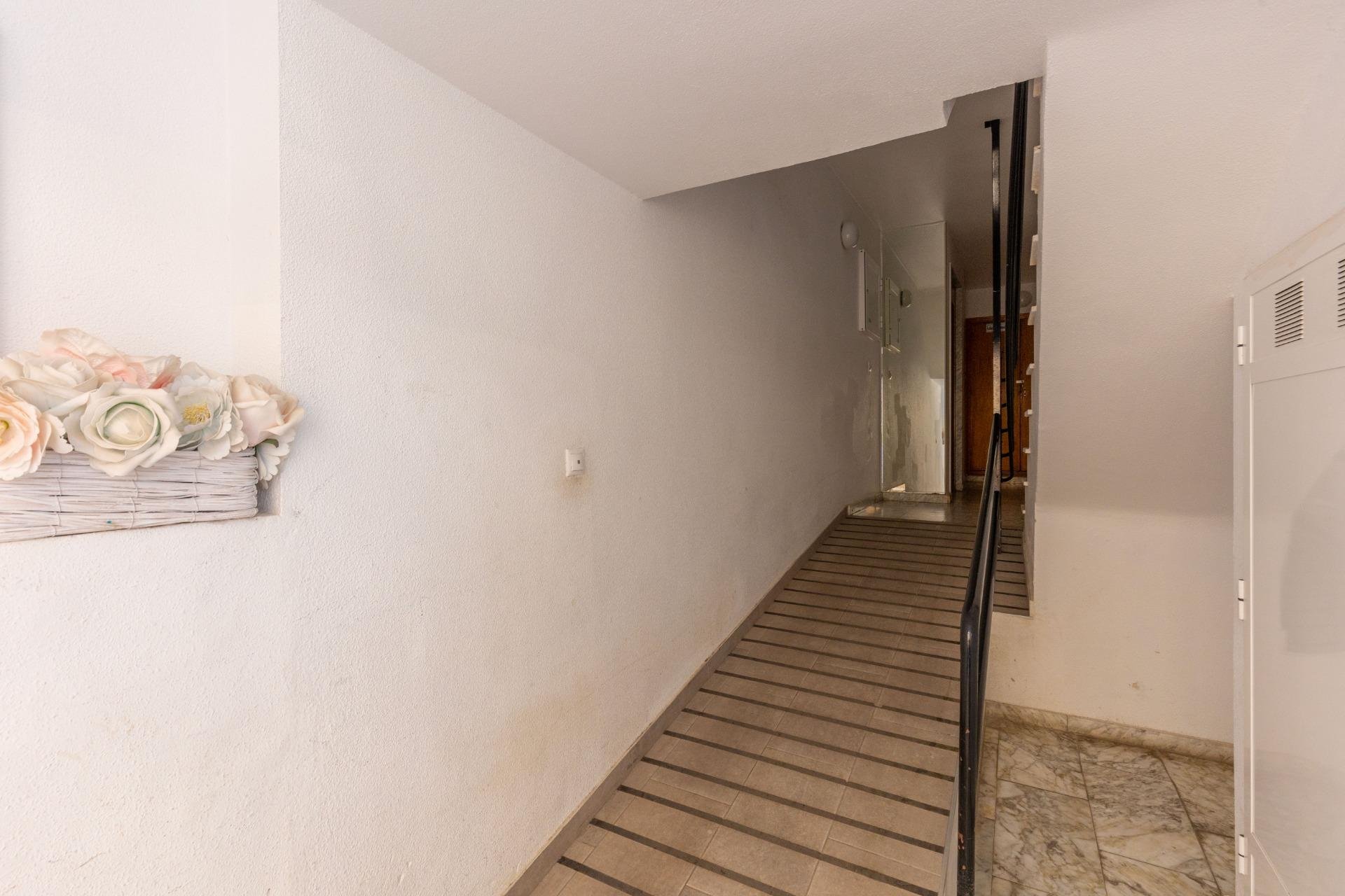 Reventa - Apartamento - Torrevieja - Nueva Torrevieja