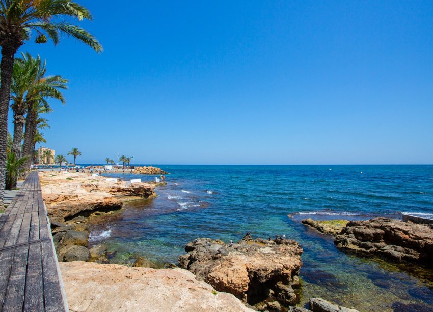 Reventa - Apartamento - Torrevieja - Playa de los Locos