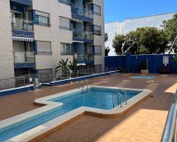 Reventa - Apartamento - Torrevieja - Playa de los locos