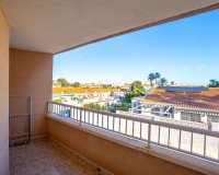 Reventa - Apartamento - Torrevieja - Playa de los locos
