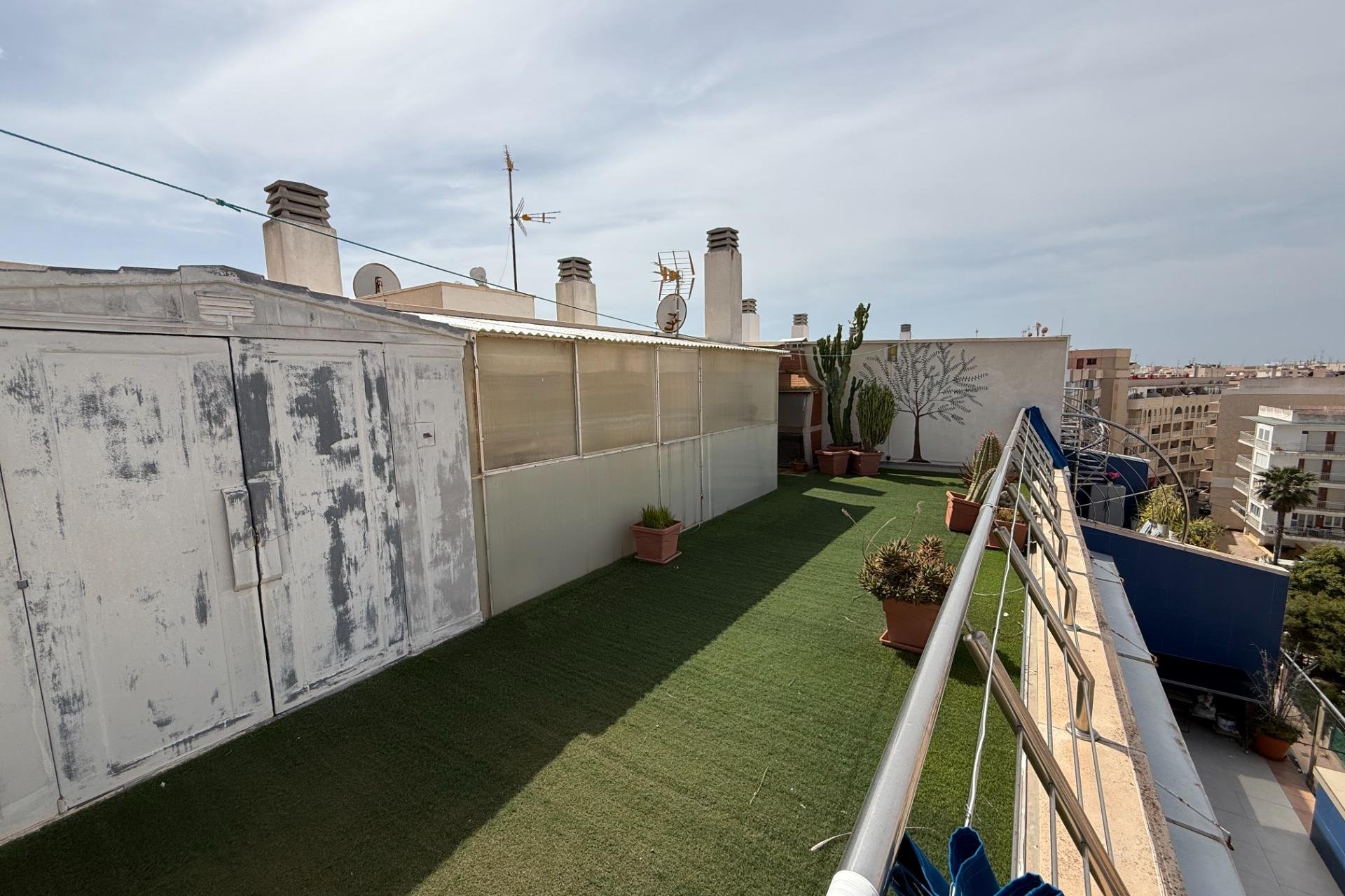 Reventa - Apartamento - Torrevieja - Playa de los locos