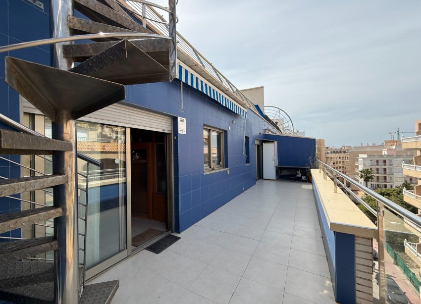 Reventa - Apartamento - Torrevieja - Playa de los locos