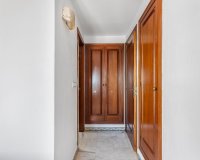 Reventa - Apartamento - Torrevieja - Playa de los locos