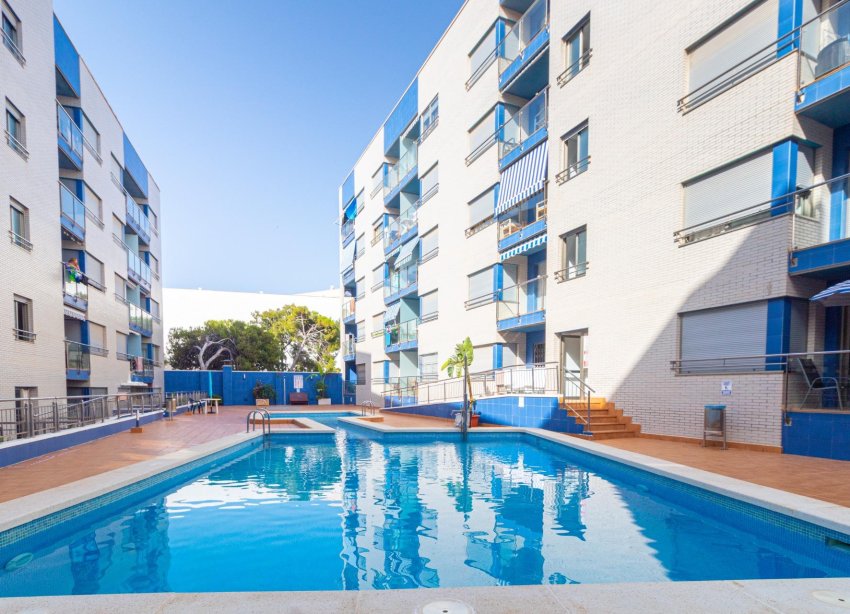 Reventa - Apartamento - Torrevieja - Playa de los Locos
