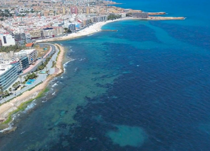 Reventa - Apartamento - Torrevieja - Playa del Cura