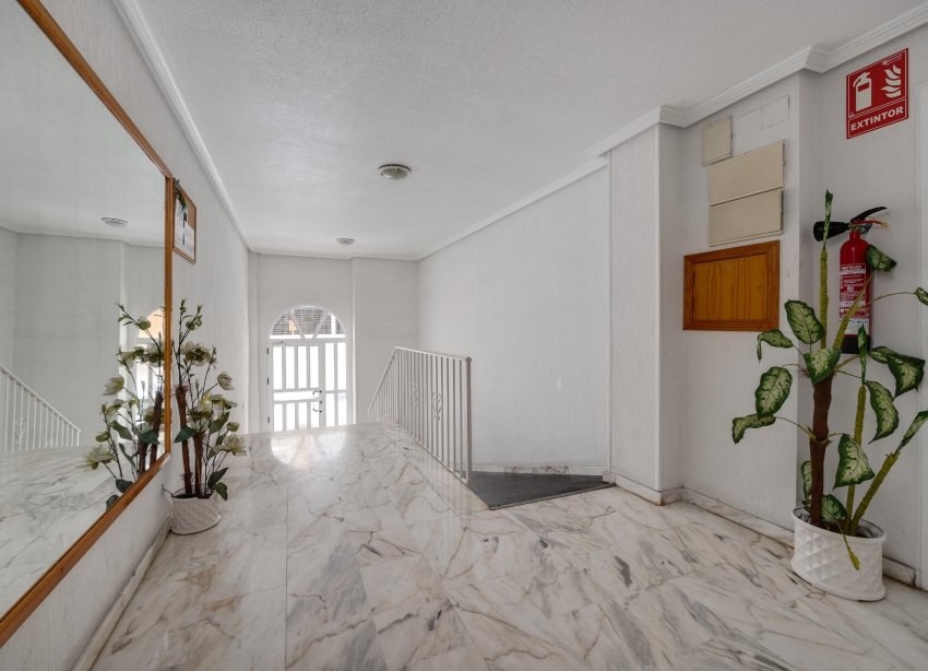 Reventa - Apartamento - Torrevieja - Playa del cura