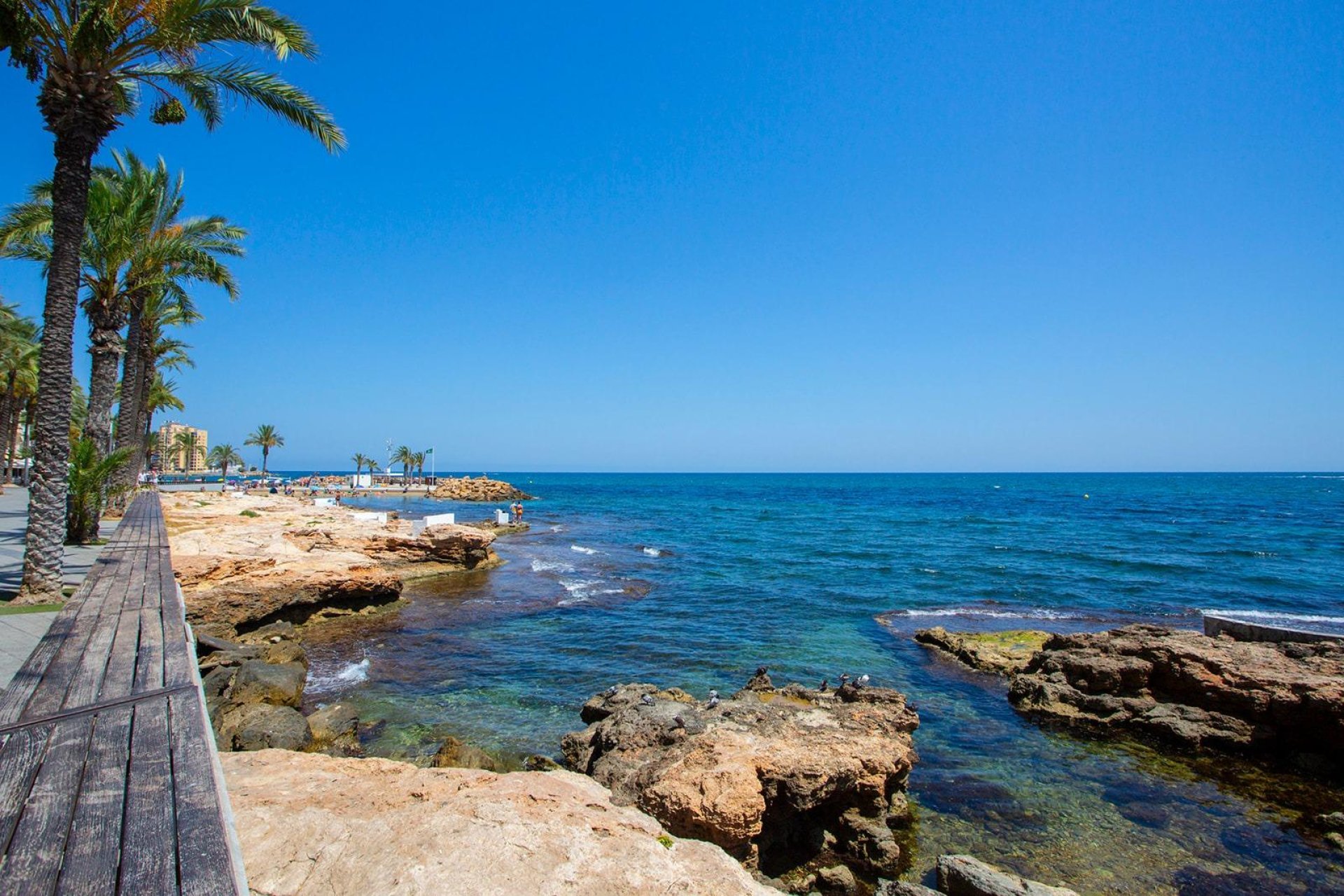 Reventa - Apartamento - Torrevieja - Playa del cura