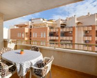 Reventa - Apartamento - Torrevieja - Playa del cura