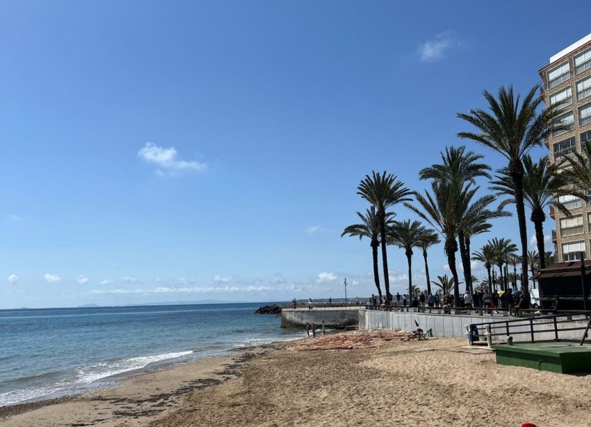 Reventa - Apartamento - Torrevieja - Playa del cura