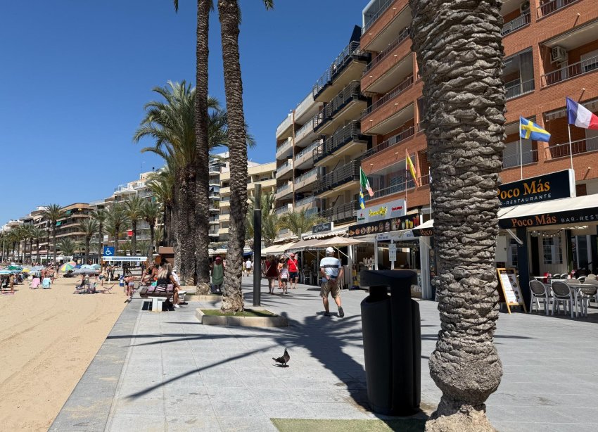 Reventa - Apartamento - Torrevieja - Playa del cura
