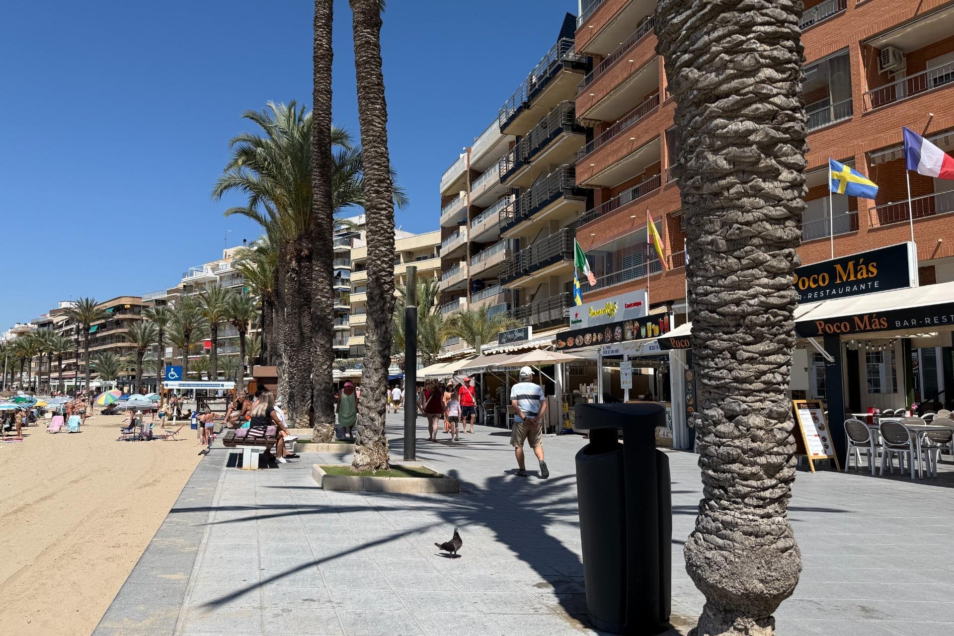 Reventa - Apartamento - Torrevieja - Playa del cura